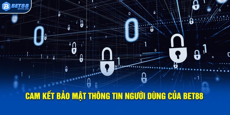 Cam kết giữ an toàn dữ liệu người dùng của nhà cái