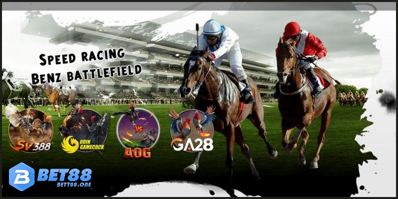 Tổng quan về sảnh Đá Gà BET88