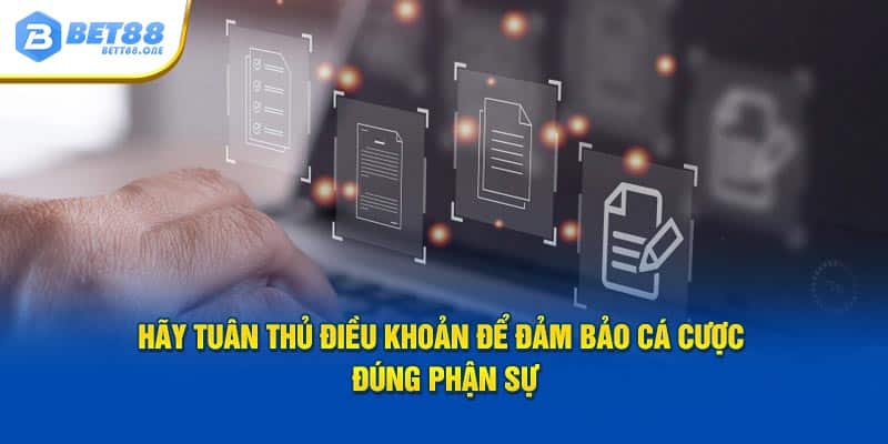 Hãy tuân thủ điều khoản để đảm bảo cá độ đúng phận sự