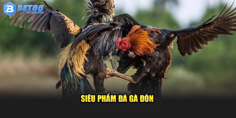 Siêu phẩm đá gà Đòn